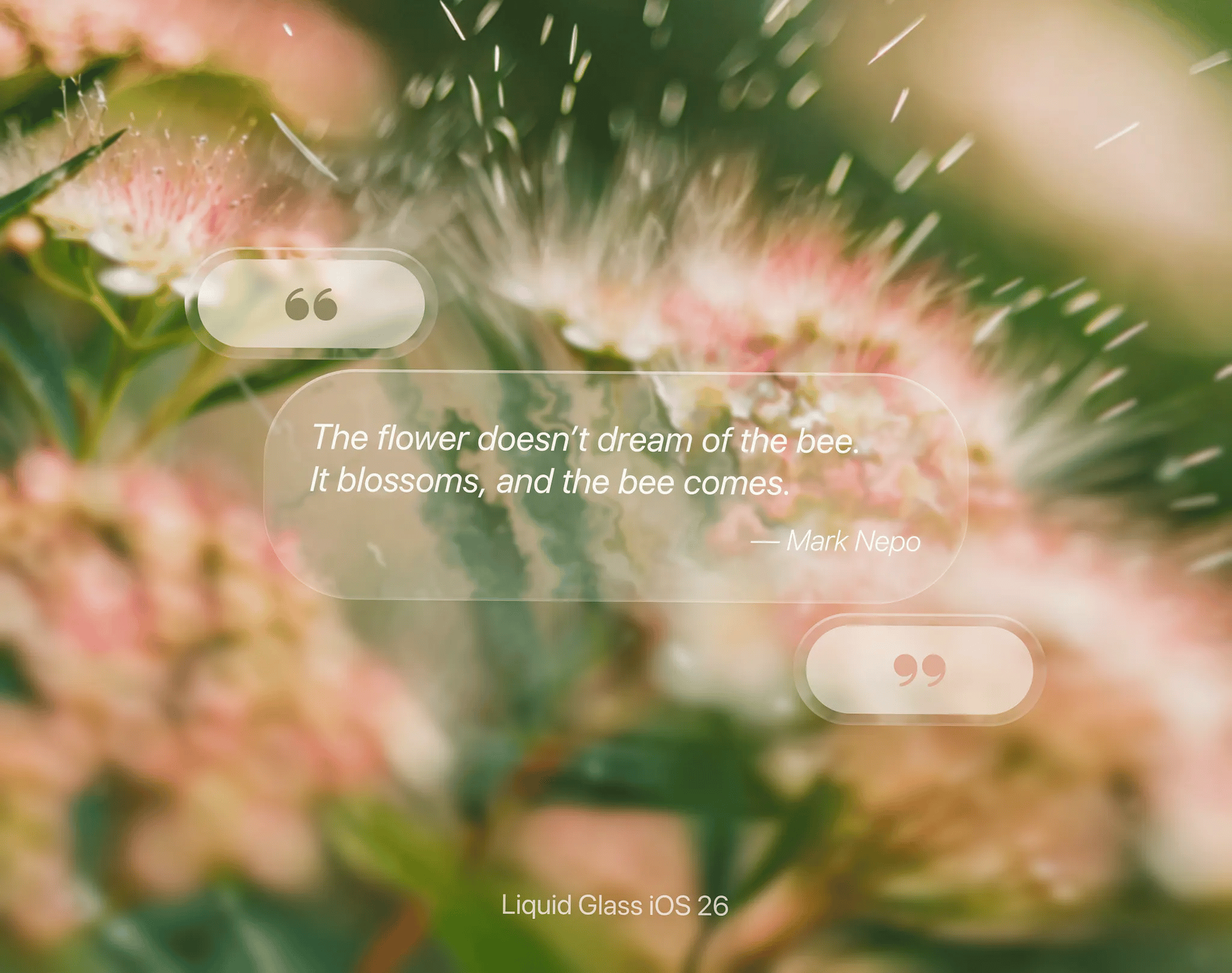 🌸 Bloom with Intention – Liquid Glass UI Concept by Yana — liquid glass ui reference