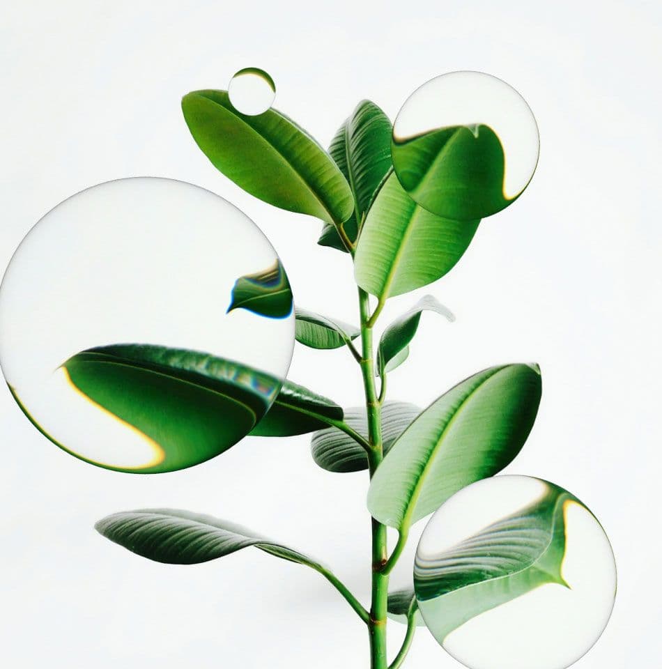 glass on plant by pinterest — liquid glass art reference