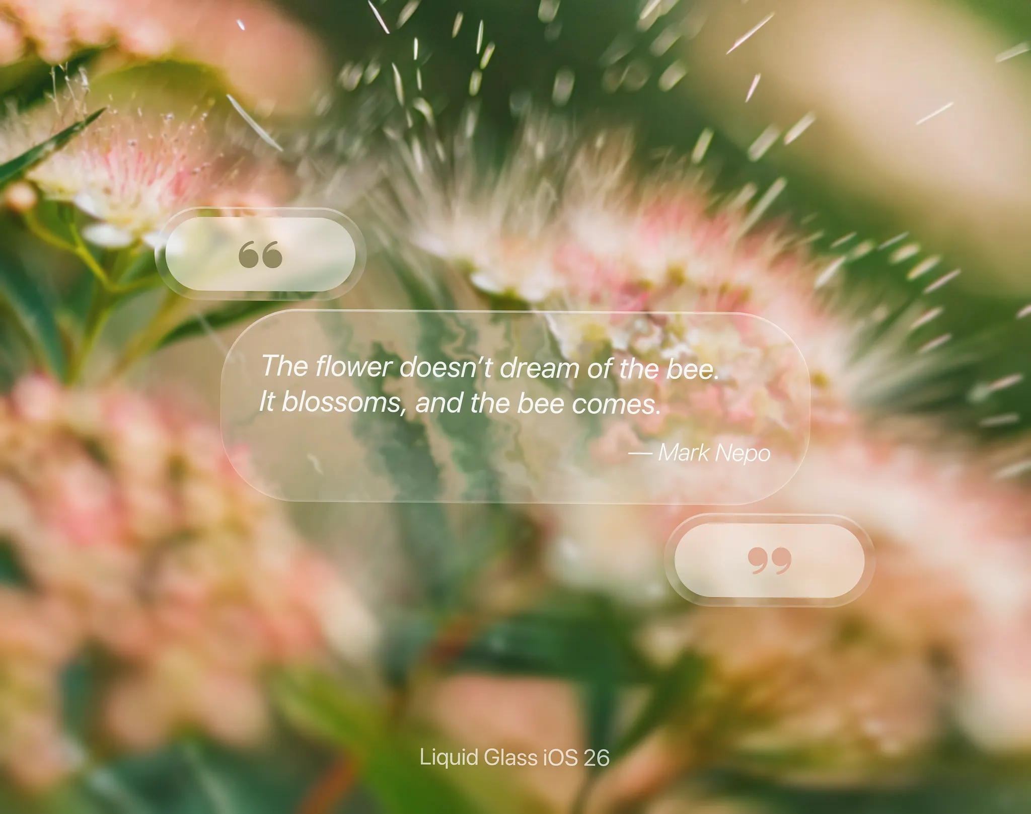 🌸 Bloom with Intention – Liquid Glass UI Concept by Yana — liquid glass ui reference