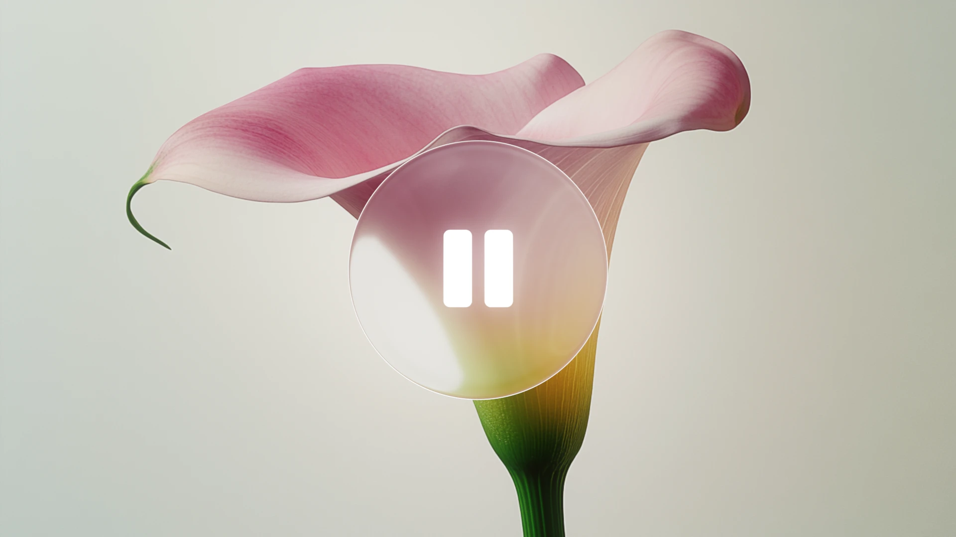 Liquid Glass by We Are Alive Studio — liquid glass ui reference